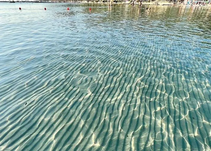 Zenzero E Limone Cagliari