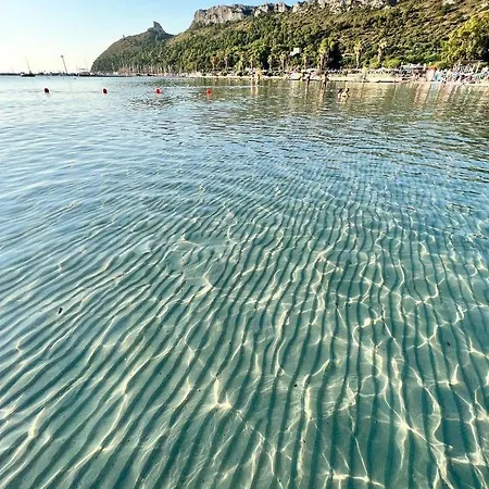 Zenzero E Limone カリアリ